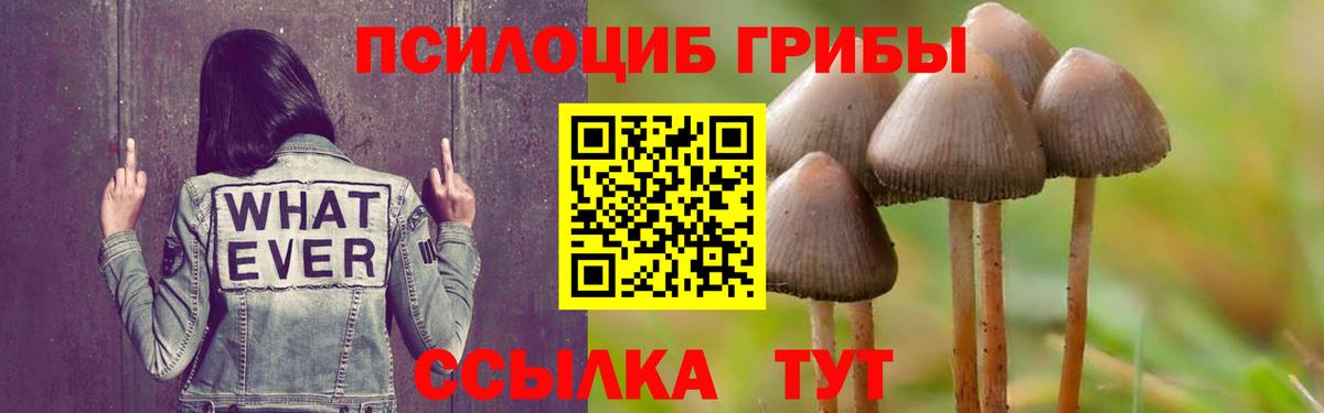 Галлюциногенные грибы ЛСД  Вход с VPN  Похвистнево 